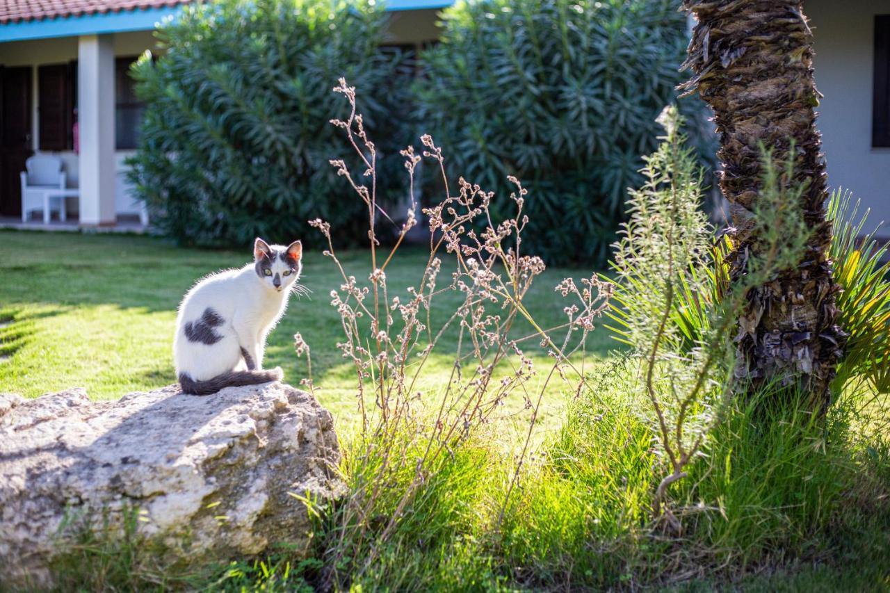 Agriturismo Is Cortillaris 까브라스 외부 사진